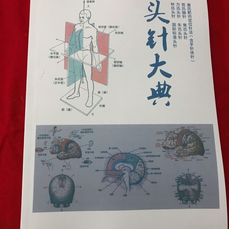 头针大典宫氏脑针唐氏靶向针朱氏焦氏国标针法黑白版