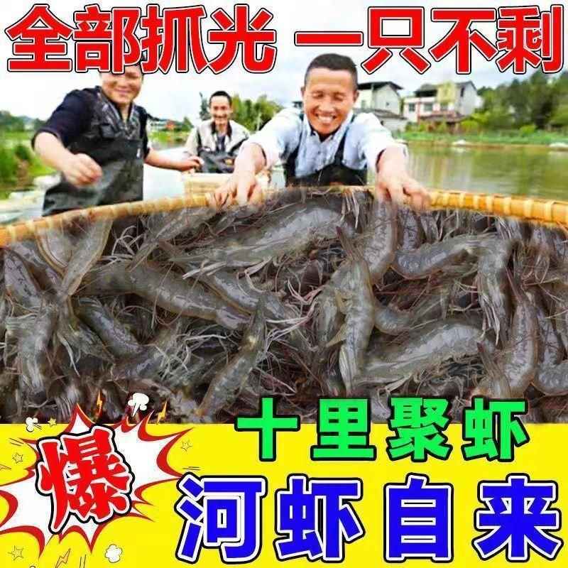 谷蜀香谷蜀香虾王精大野钓黑坑大物饵料小药万能添加剂添加剂钓鱼饵料剂 谷蜀香虾鳝灵 三瓶装