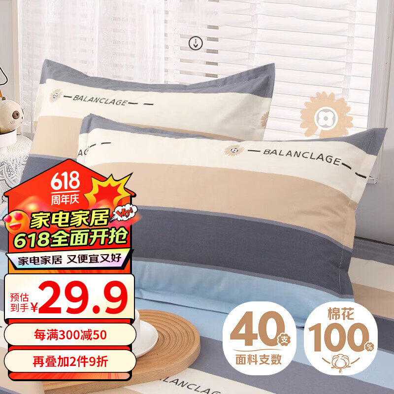 艾薇（AVIVI）枕头套枕套一对纯棉家用全棉单人枕套枕芯套 罗马时代 48*74cm