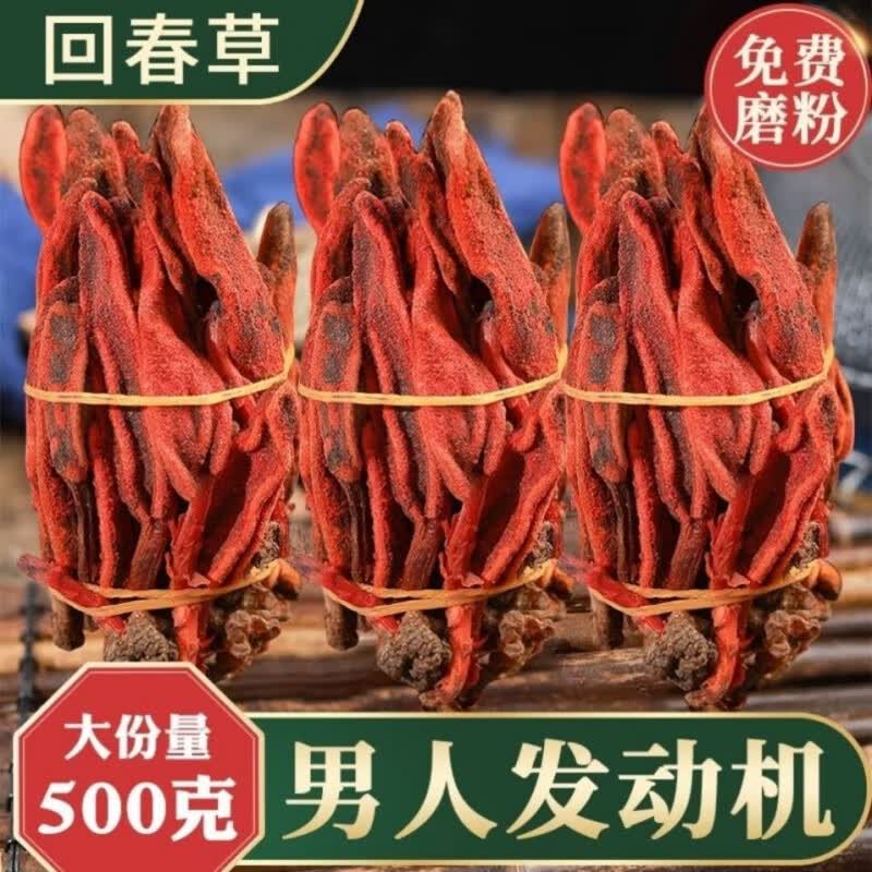 回春草云南不老草顶天柱男性滋补泡水泡酒料搭配金锁阳 回春草500克