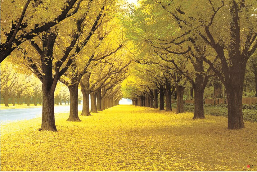 国泰家和(guotaijiahe)风水山水风景客厅过年喜庆年画墙画装饰纸画