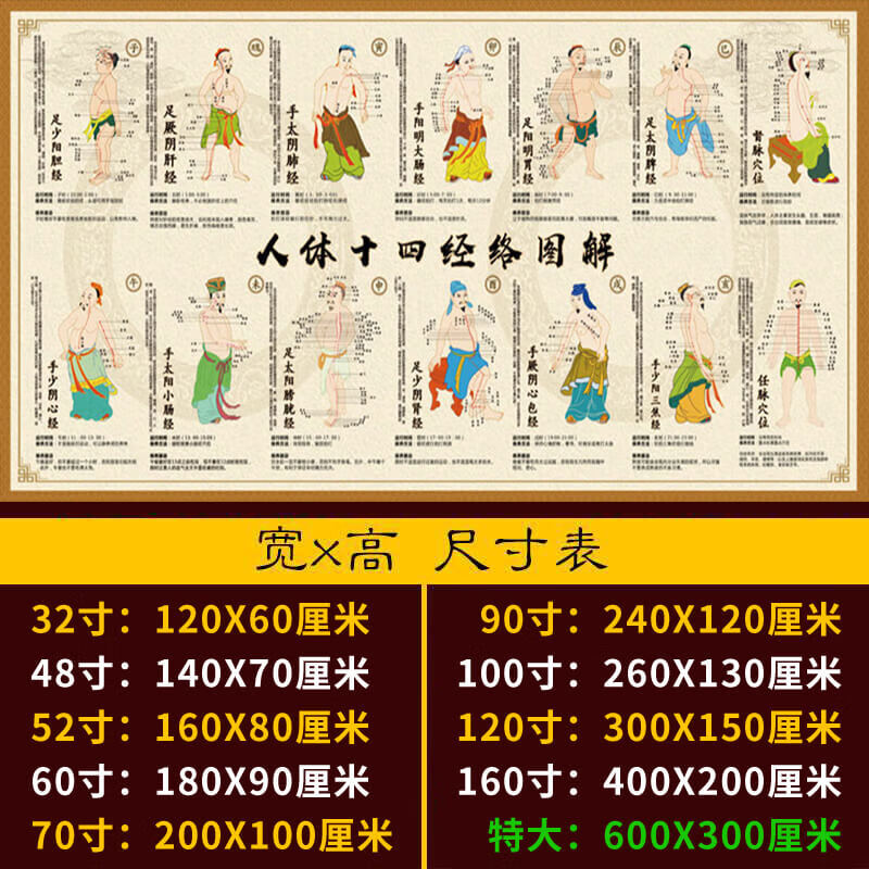 穴位图挂画 人体十四经络穴位图高清身体十二经络挂 b1-人体十四经络
