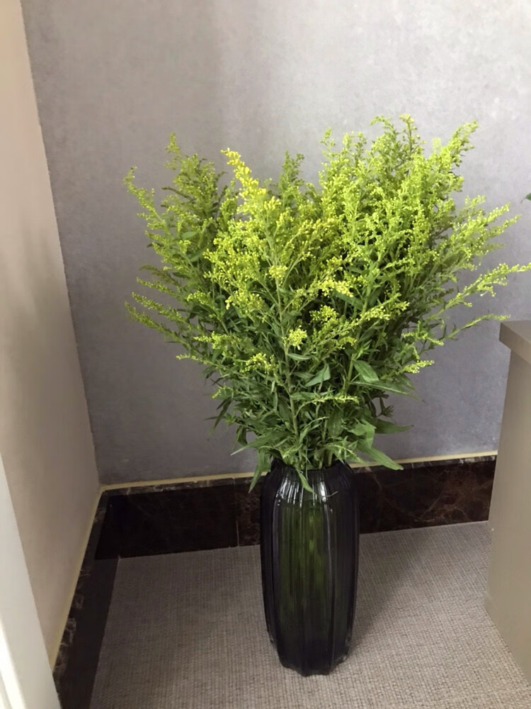 鲜花云南昆明直发黄莺配草配花搭配黄莺草批发基地直批一扎支 黄莺20