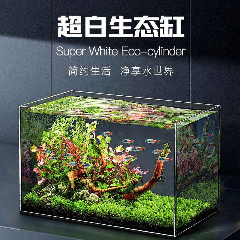 �Ը裨TG�� ��׳��ײ���ˮ����������׾Ӽ�ˮ�ݸ�����ڹ�׶������� �����ס�500*260*300