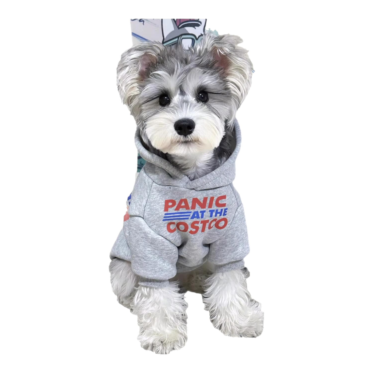 Ӻ¹·ůñ̩ϳè· ɫñ L Լ8-11 12.9Ԫ