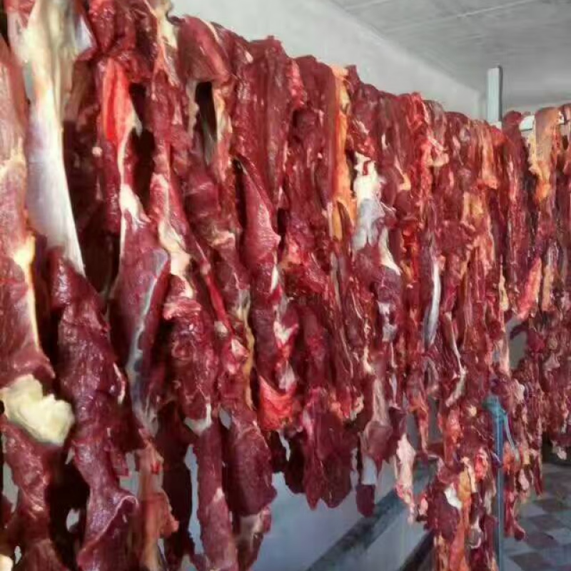 可钦新疆伊犁塔城风干肉特产美食生风干牛肉半干真空1公斤2斤黄膘