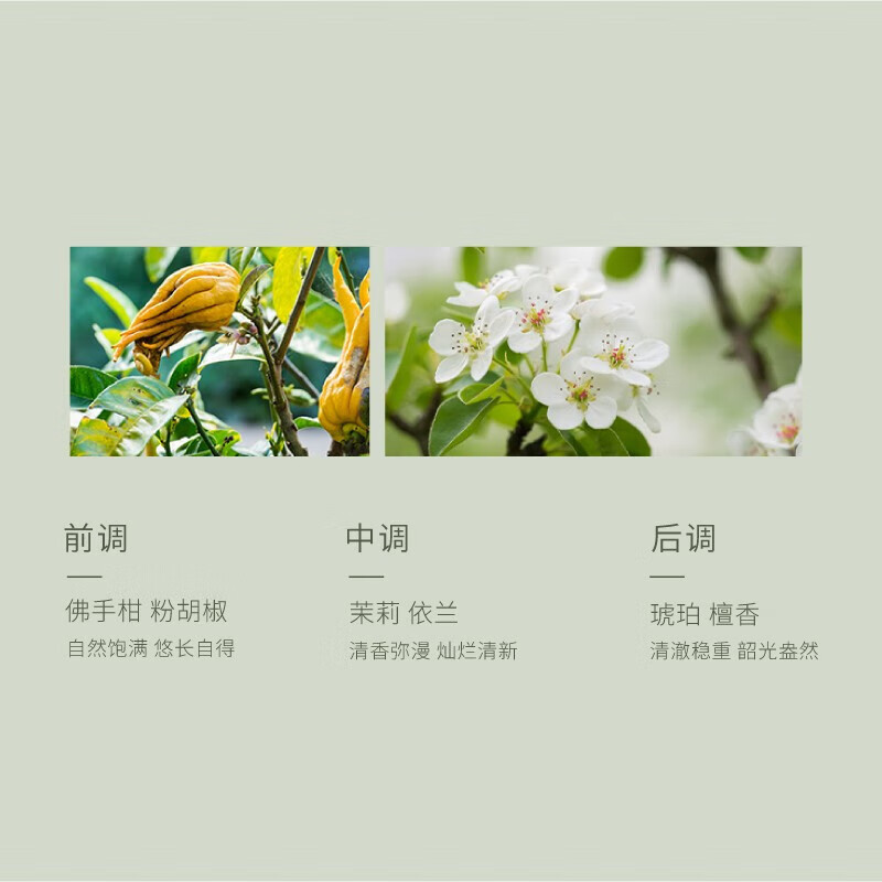 半亩花田精油香氛沐浴露氨基酸玫瑰沐浴液女男深层清洁持久留香滋润保湿 玫瑰沐浴露400g*2