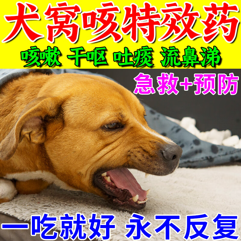 犬窝咳净片犬窝咳专用特效药狗吃幼犬感冒咳嗽吐痰眼鼻分泌物气喘 一瓶装【犬窝咳特效药】