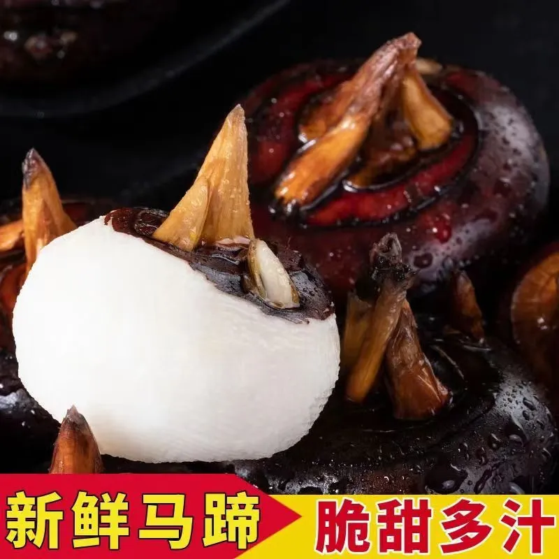 ���ũ�� ����ݩ���� ���ʵ���ʱ��ˮ���߲� �����֭ ���� 25-30���й�5��36.8Ԫ(����ȯ����18.4Ԫ/��)