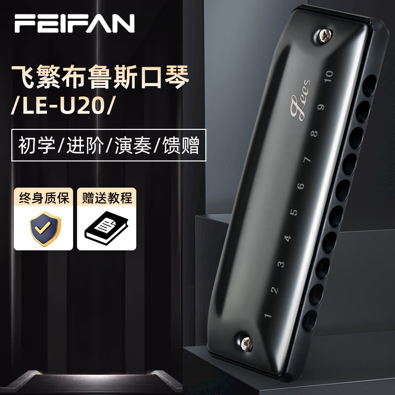 FEIFAN十孔布魯斯口琴成人演奏 口琴初學(xué)者練習(xí)兒童通用樂器 10孔C調(diào)LE-U20(玄鐵灰)