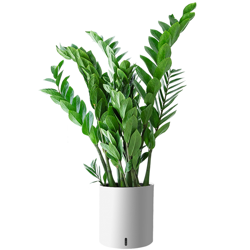 ֲֲŮǮֲڿ칫ļвƺֲԴͷֱ 119Ԫ