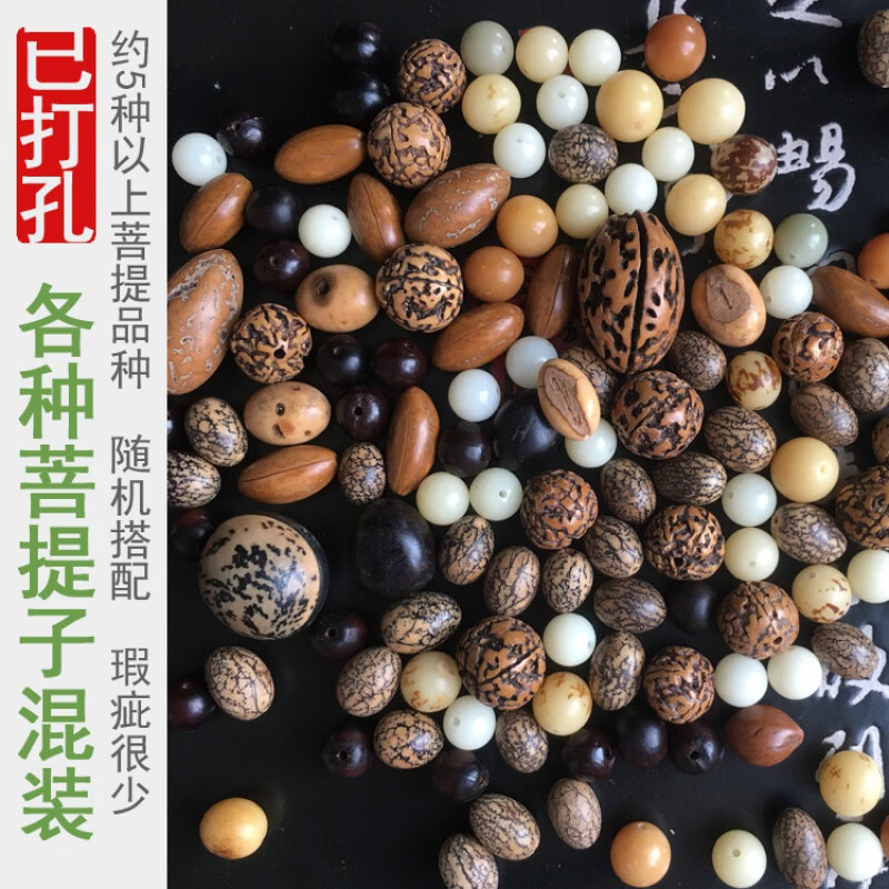 琉丽多种菩提子混装随机搭配金刚无患子菩提根凤眼龙