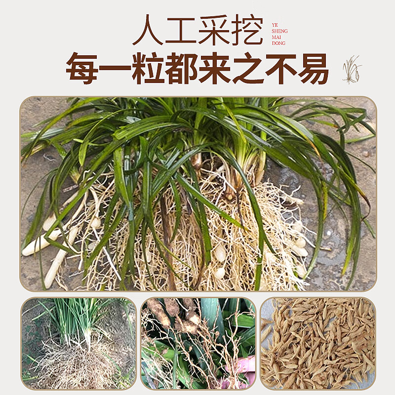 唯昱记 四川野生麦冬精选中药材干货泡水泡茶煲汤料新货元气四宝茶原料 野生麦冬150g+大片西洋参150g