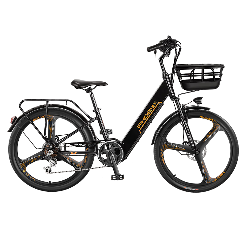 ���ڲ�������ˣ�Phoenix���¹���綯���г�����﮵����������ŮʿС�͵�ƿ���������絥�� L8��/���ش���/7��/26��һ����/5���Ǳ� 48V20AH�綯����80����