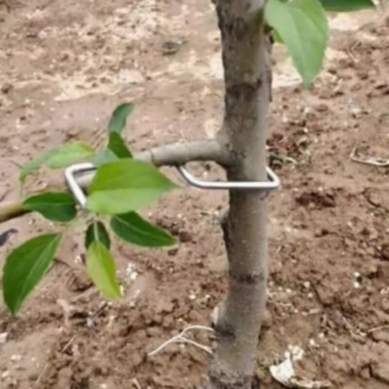 果树压枝神器樱桃苹果树拉枝开角别枝多功能柑橘树枝定型 s型8厘米3.