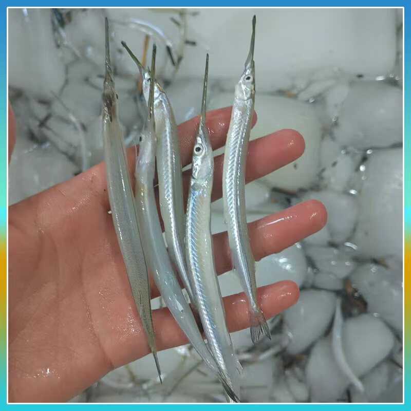 淅友丹江水库新鲜淡水银针鱼速冻针尖嘴鱼水库小鱼处理干净淅川特产