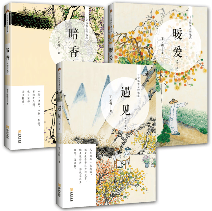 全新正版 暖爱 丁立梅 金城