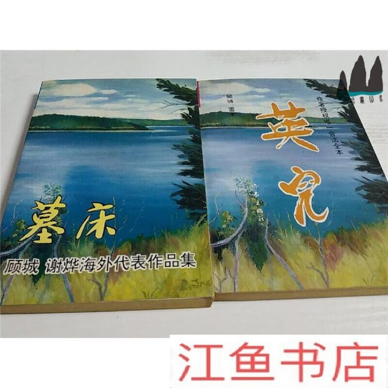 二手9成新 `旧书 英儿 墓床顾城谢烨海外代表作品集 2本合售  1993年