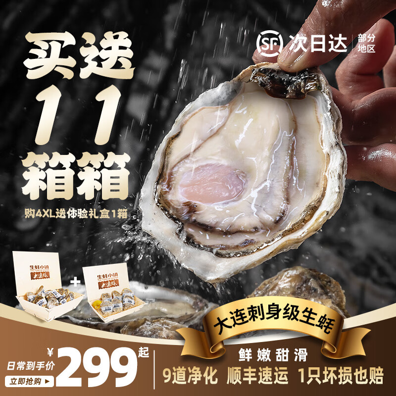 生蠔小鎮【源頭直發】鮮活大連生蠔 刺身級品質 5斤裝禮盒 4XL號 12只