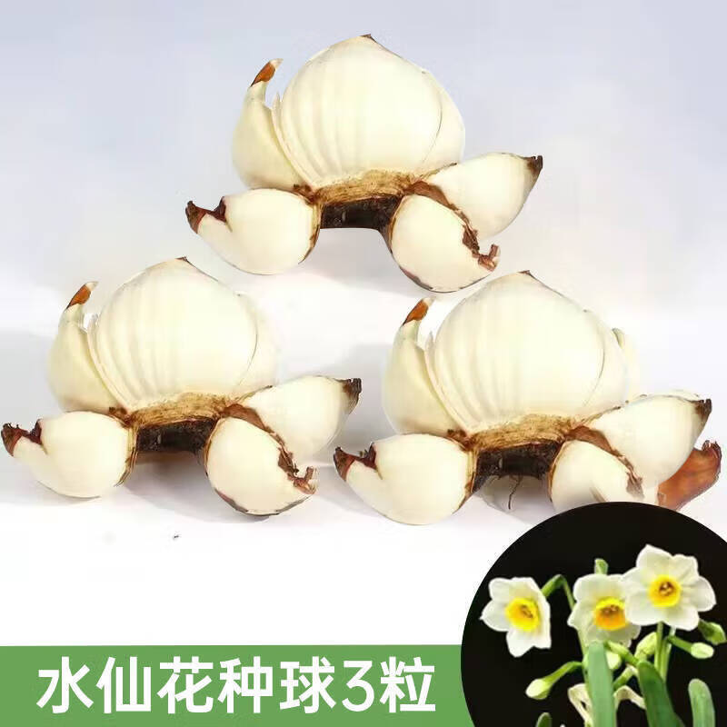 ������ˮ�ɻ���������������������ˮ�����������ֲ���� ����ˮ�ɻ�3�� 10.8Ԫ