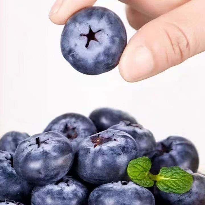 ӣ����ժ�ַ�������ݮ�и�������ʳ������ݮ ��2�ݺϷ�һ�� ��װ��� 4��*100g  ����15-18mm��3�� ������ݮ 29.44Ԫ