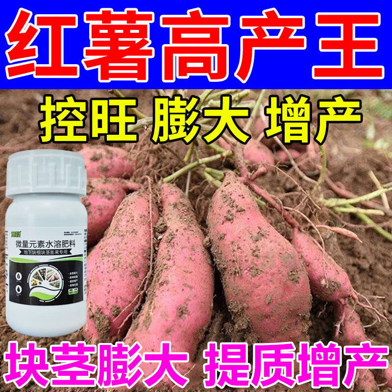 红薯地下根茎膨大素猛长红薯膨大剂控旺增产防裂红薯地下猛长肥料
