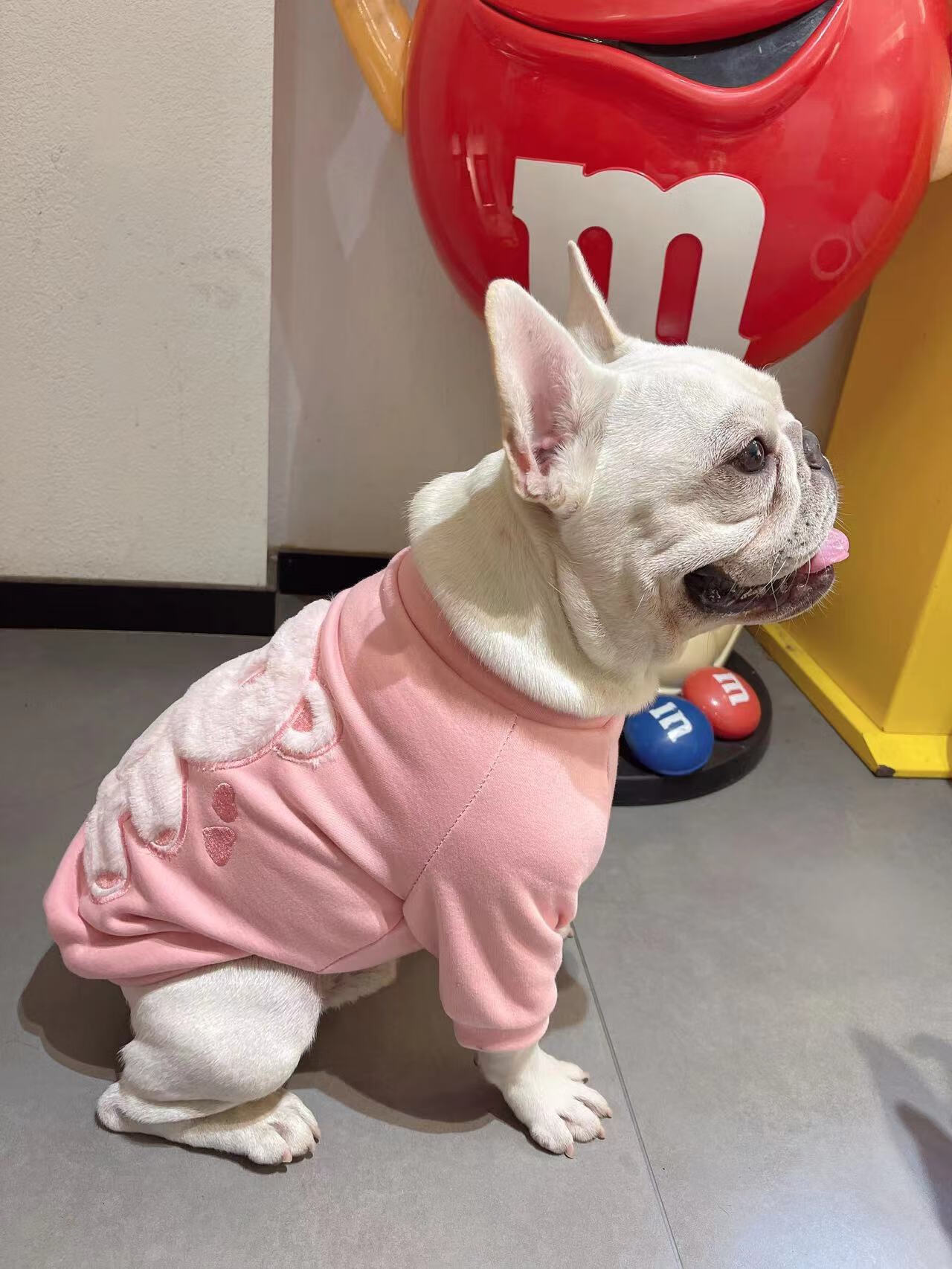 啵兔小狗狗套头衣服法斗巴哥雪纳瑞泰迪柯基宠物秋冬加绒粉色小熊卫衣