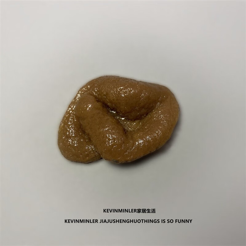 好沐音(haomuyin)假粑粑道具整蒙搞笑闺蜜挚友假屎便便仿真大便网红