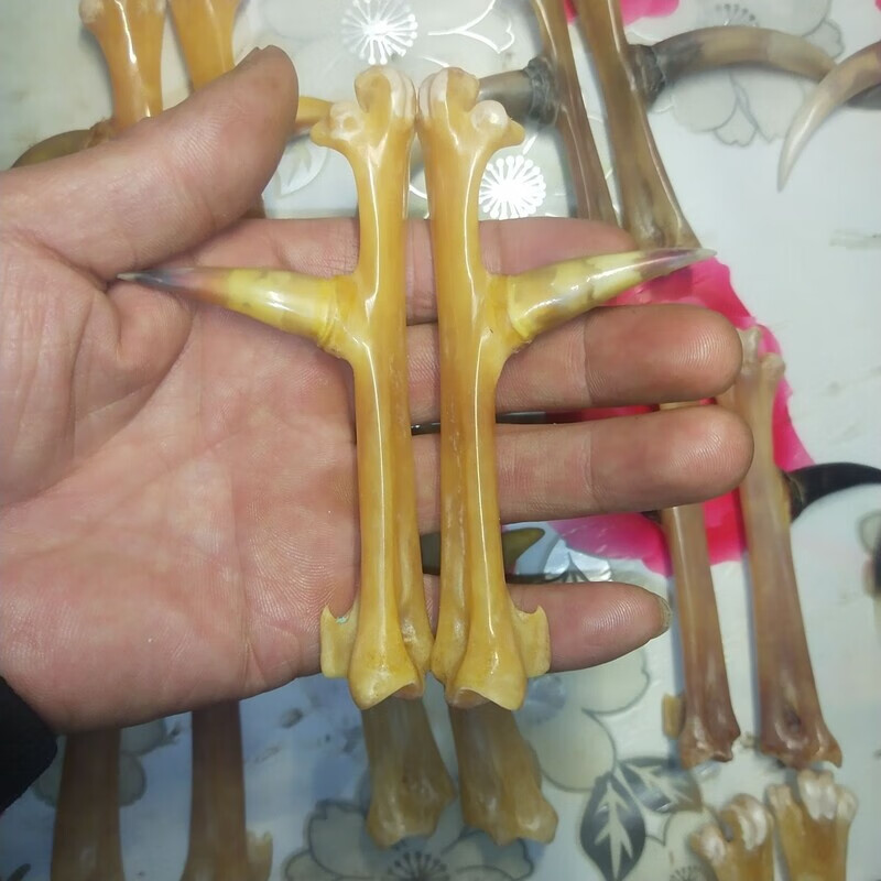 翰扎鸡爪文玩老公鸡蹬爪新款手持纯蹬爪精品子骨头雕刻连体纯手工