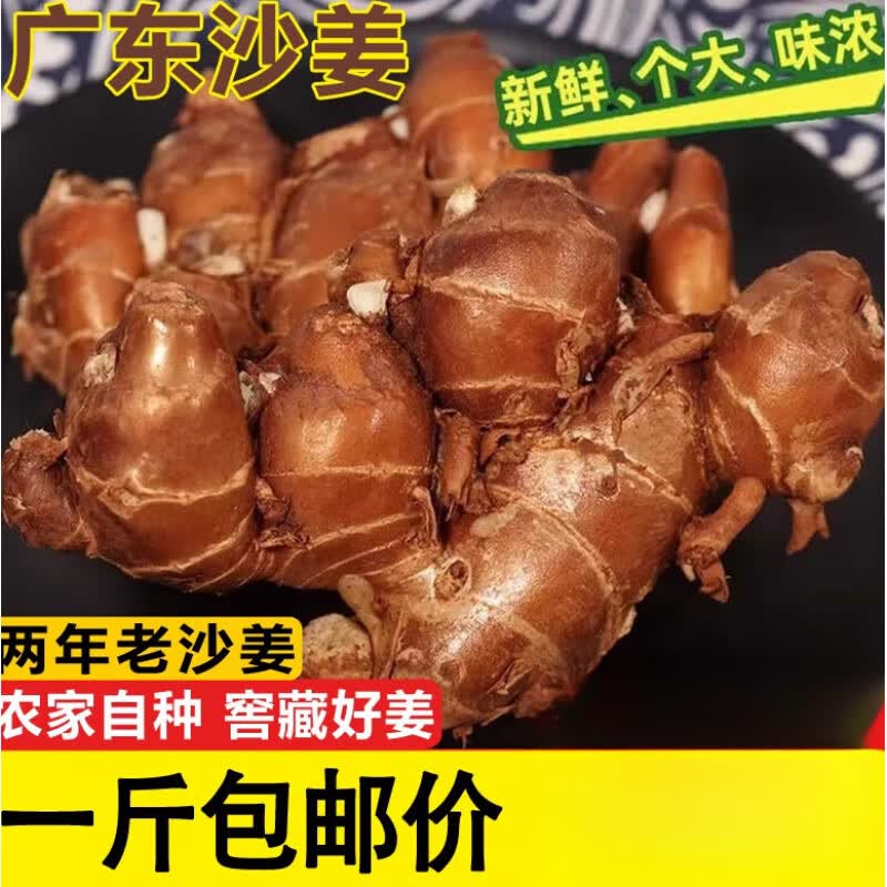 嫩个 新鲜沙姜老沙姜鲜沙姜椰子鸡沙姜鸡蘸料白切鸡用料个大浓香 250g