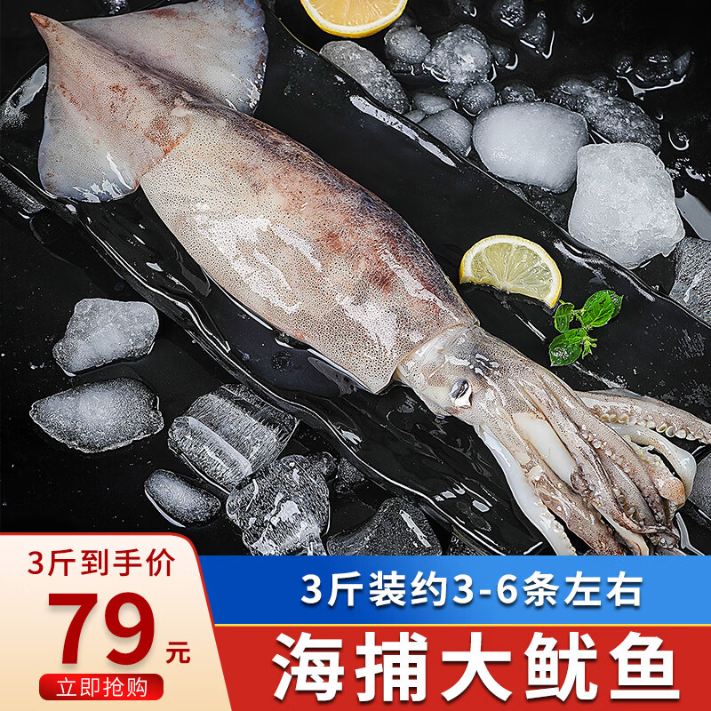 海宏盈 海捕大鱿鱼整条 1500g 3-6条 无包冰新鲜海鲜软足类生鲜