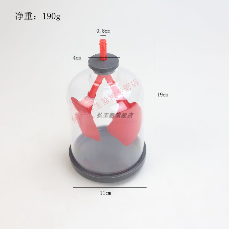 33225膈肌运动模拟器肺呼吸模型人体器官肋间肌舒缩胸腔变化肺部工作