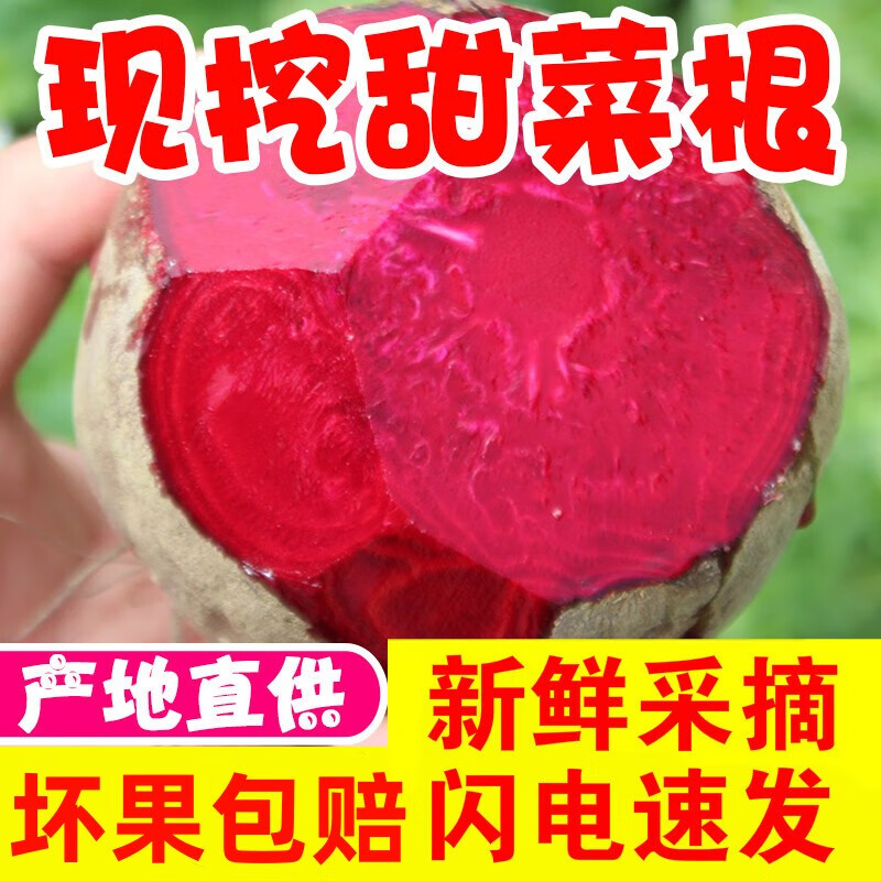 囧仙子2024甜菜根新鲜现挖5斤甜菜头头红甜菜农产品蔬菜红菜头1 5斤