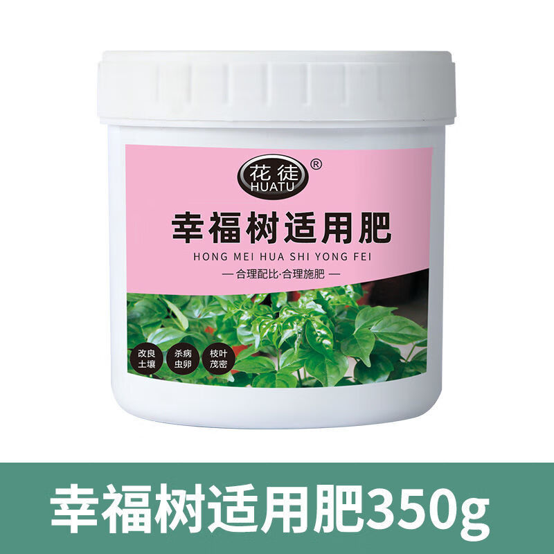 花徒幸福树适用肥花肥料绿叶盆景盆栽复合肥有机肥四季缓释 幸福树