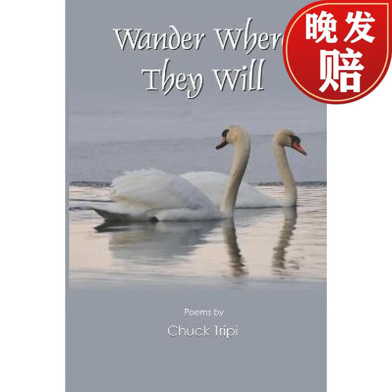 【4周达】wander where they will