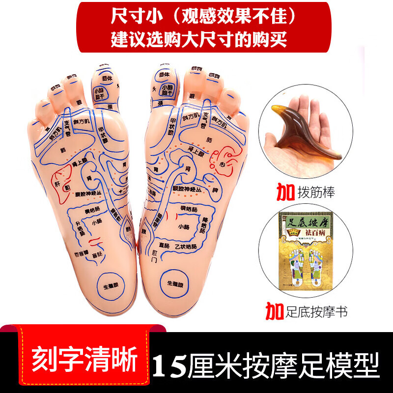 脚部穴位模型大字体高清足部反射区模型脚底穴位图足 15cm足模一对