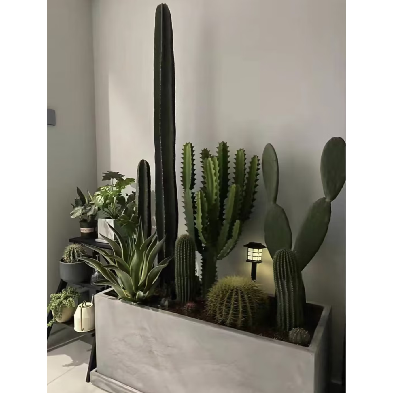 【广州/佛山】上门布置室内大型组合绿植办公室客厅阳台造景植物 组合