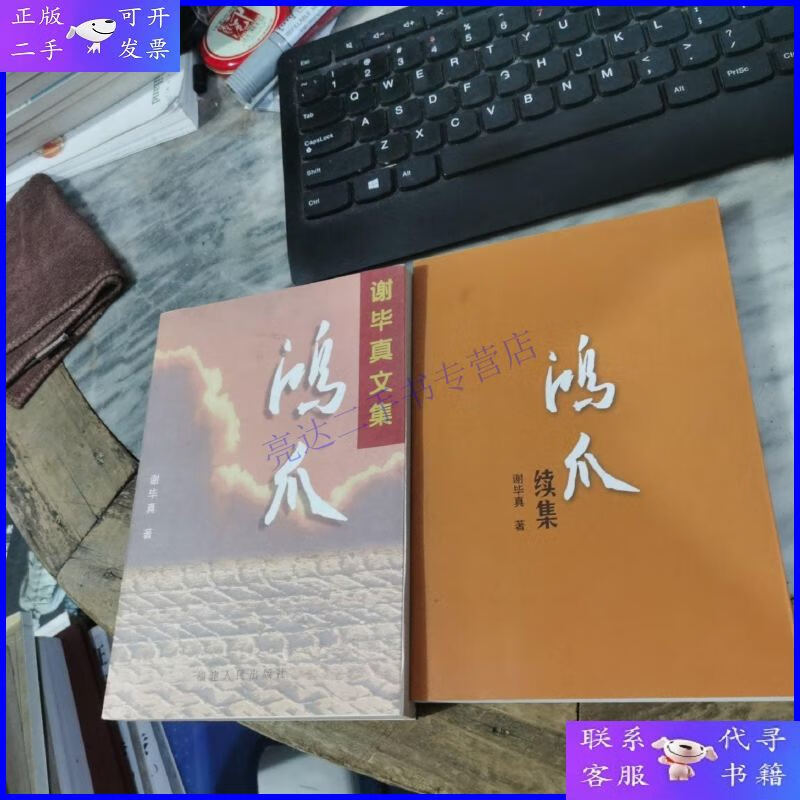 【二手9成新】鸿爪:谢毕真文集 续集