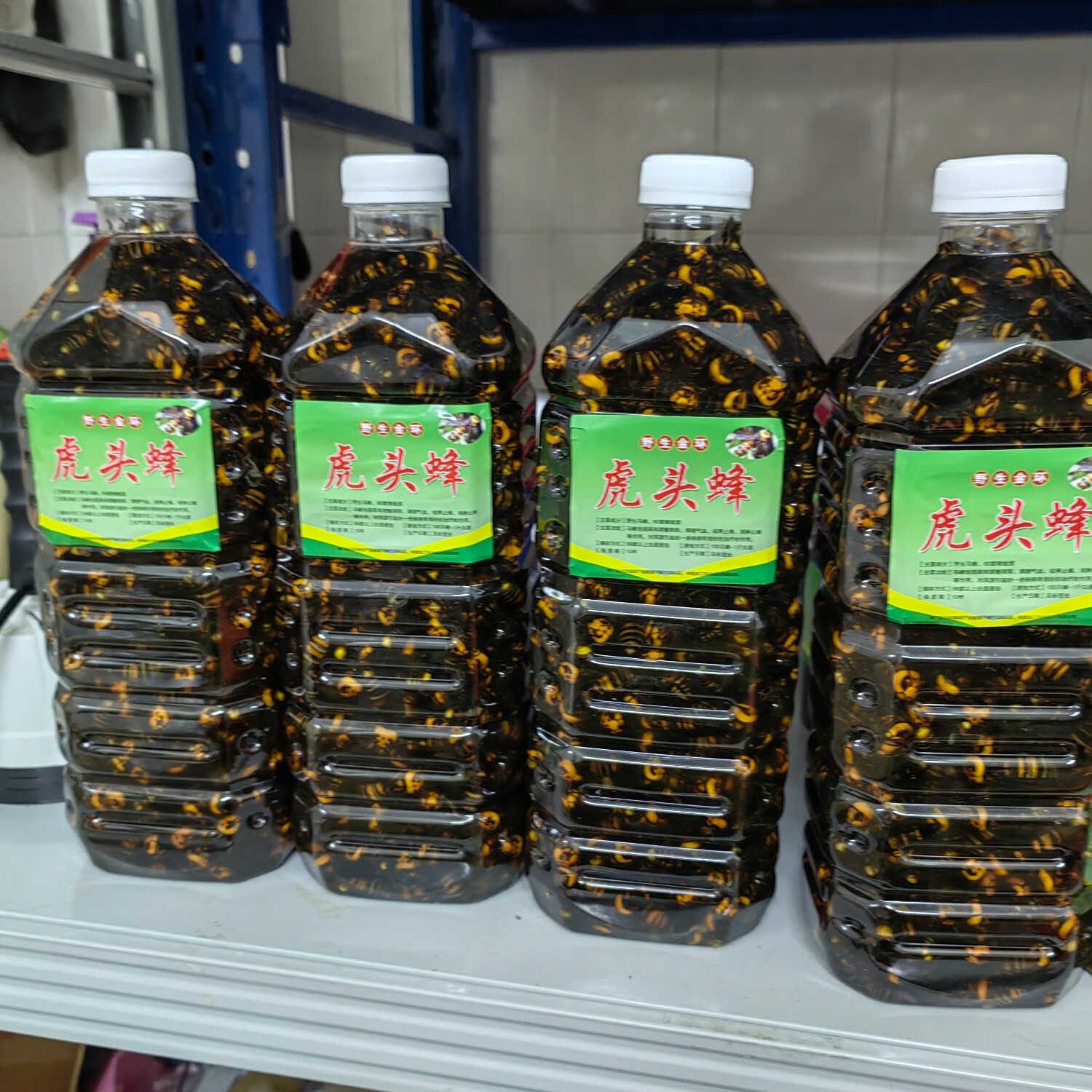 马蜂酒泡酒材材料金环虎头蜂活体野生马蜂诱蜂水原材料  虎头蜂纯 100只金环虎头蜂(个大)(24新蜂)