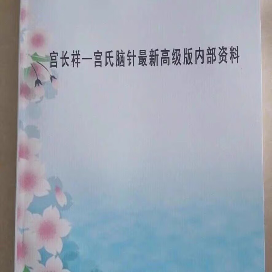 现货高清全彩2020新版宫氏脑针 非常实用的资料 班讲义 班讲义