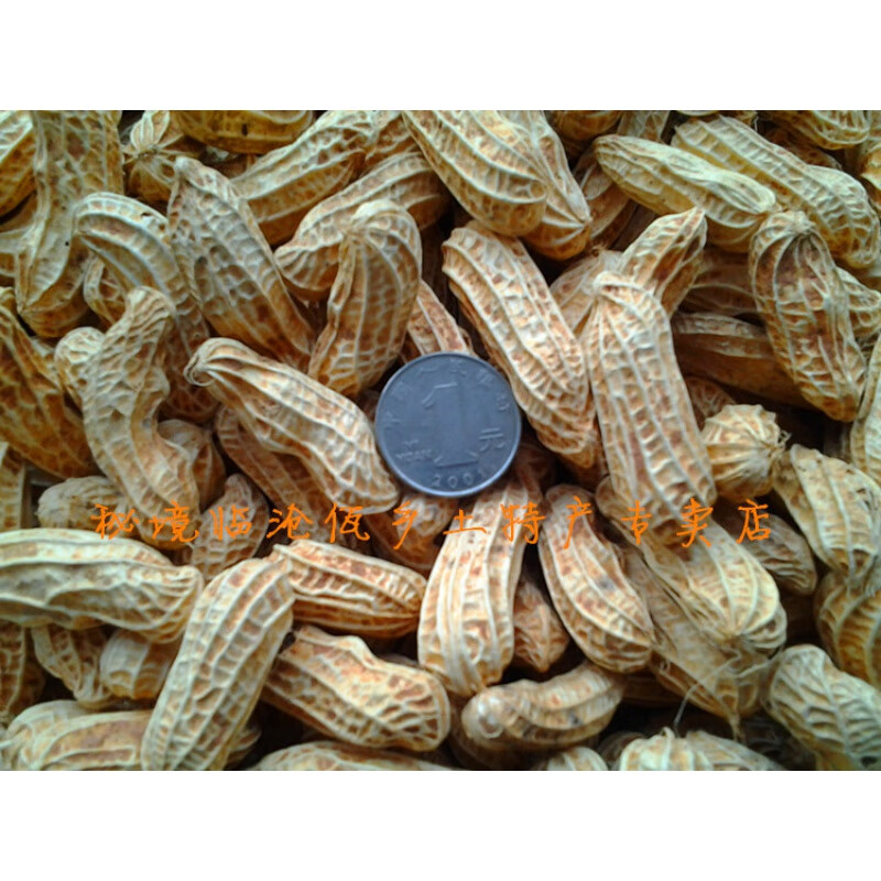 温即云南临沧特产长生果紫五彩七彩花生泰国花生花皮彩色生花生带壳