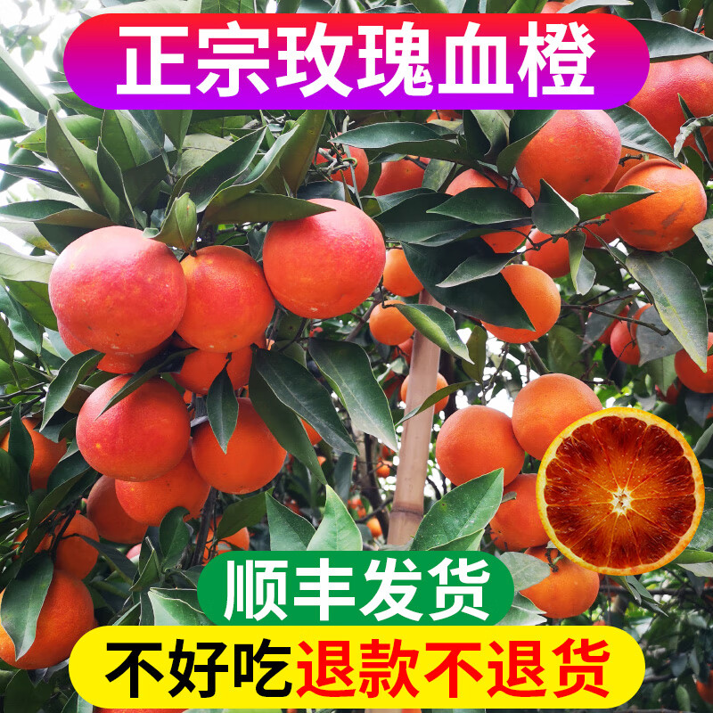 血橙新鲜橙子水果四川重庆甜果冻红心手剥香橙 7斤中果 【稀有品种】