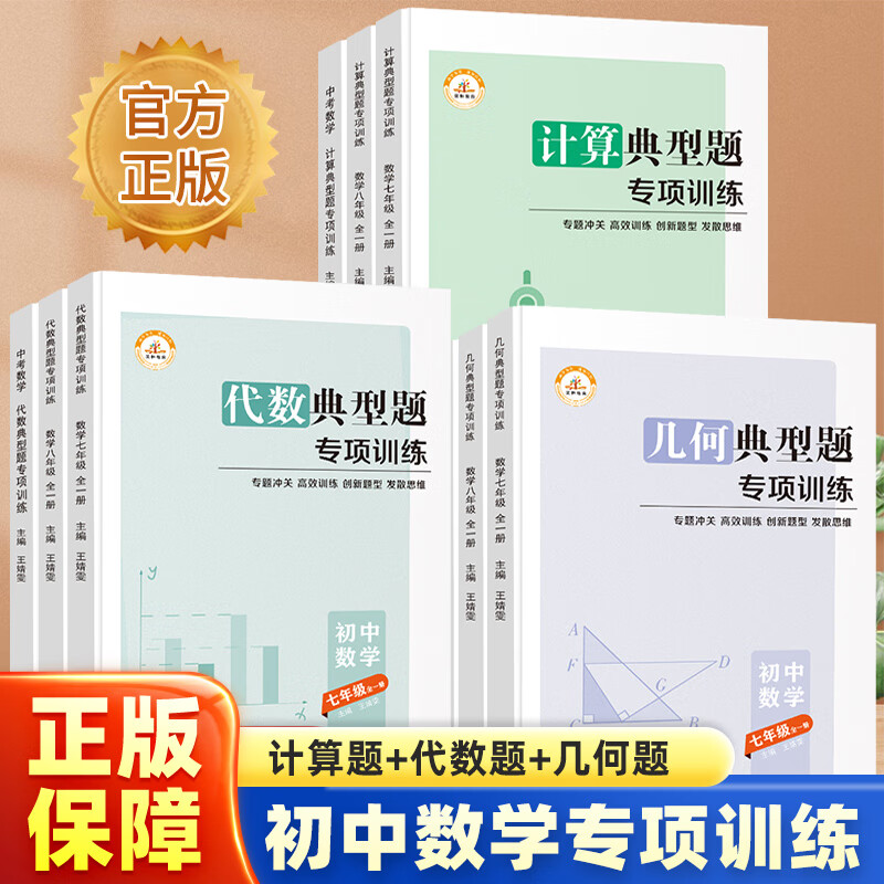 初中初一初二初三中考数学代数几何题高效训练习题册 七年级/初中一