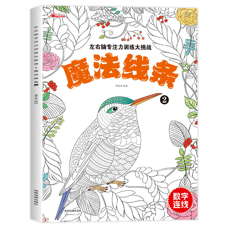 儿童魔线迷宫线条专注力训练左右脑智力开发逻辑思维书注意力大挑战幼儿园高难度玩具益智游戏3-8岁 魔法线条-2 无规格