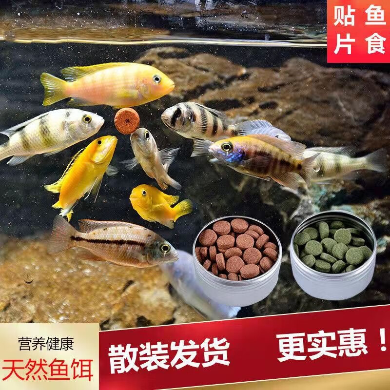 哈洁宝小型鱼饲料贴片凤尾鱼食热带鱼孔雀鱼红绿灯科鱼斗鱼幼鱼微粒鱼粮 螺旋藻贴片120克(约240片)