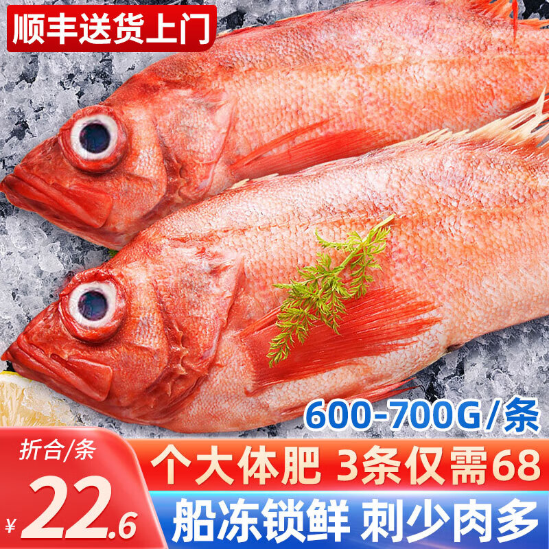 觅客海皇湾红石斑鱼冷冻整条深海大龙胆鱼富贵鱼海鲜水产 1条装600-700g条