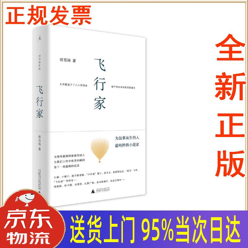 【新华正版 全新书籍】飞行家 双雪涛 广西师范大学出版社