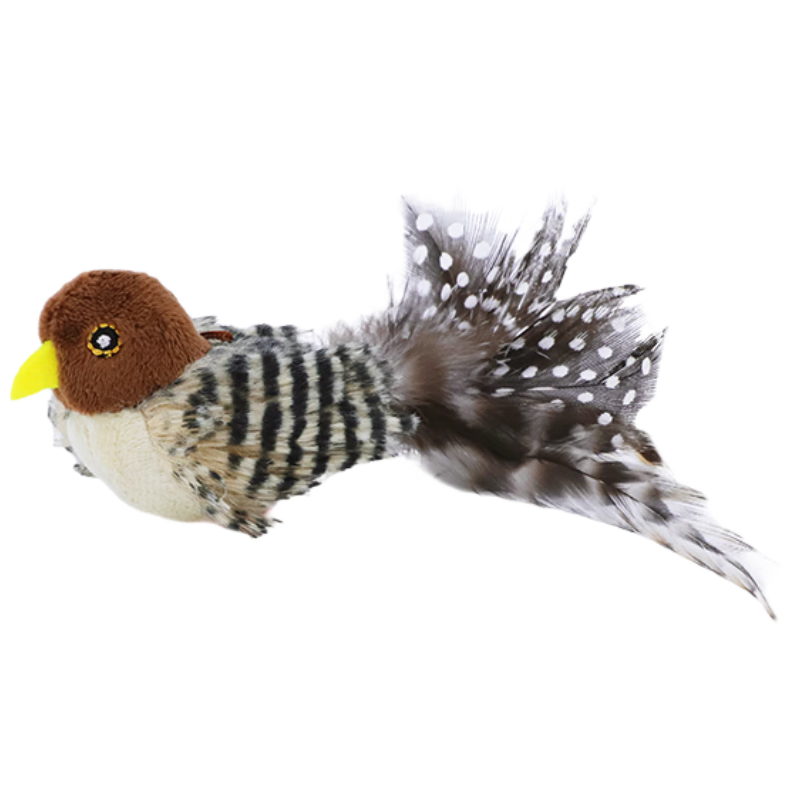 ��Ϊ ��è���