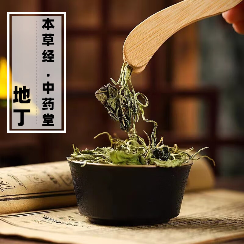 北京同仁堂品质 地丁中药材500g精选天然当季紫花地丁泡水喝