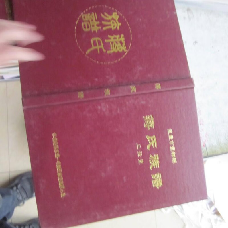 重庆市丰都系 蒋氏族谱